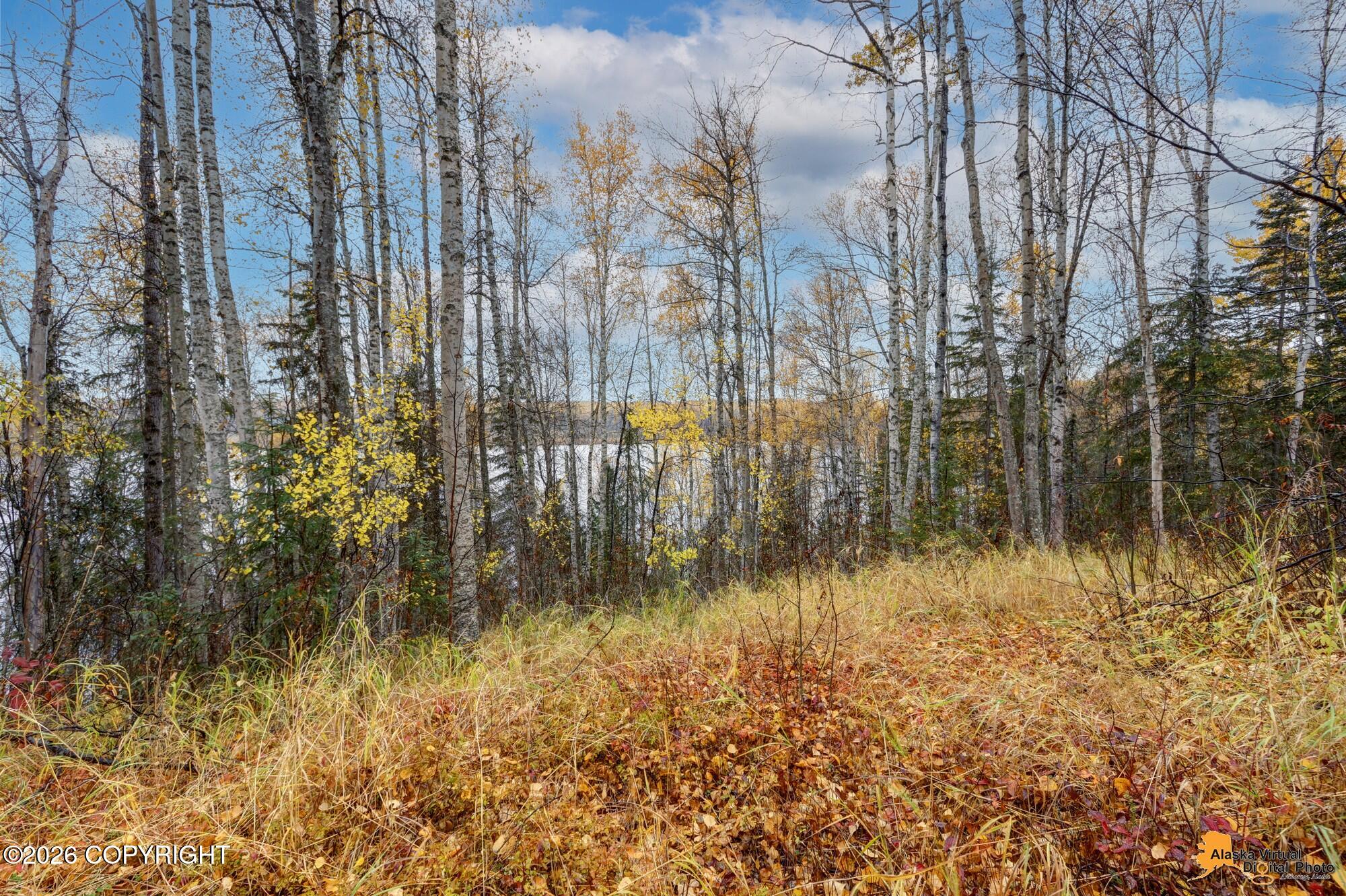 15486 E Sunshine Road Property Photo 53