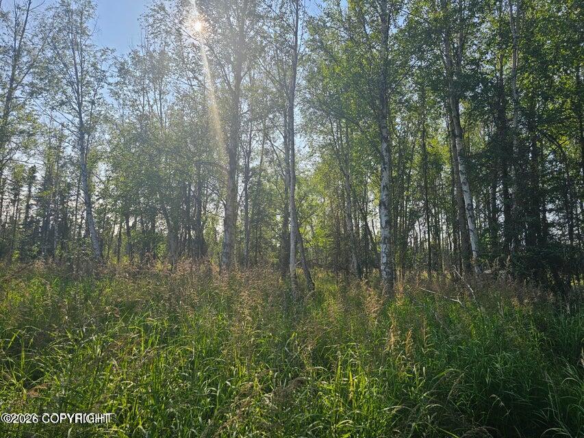 C002 S Tuttle Road Property Photo 8