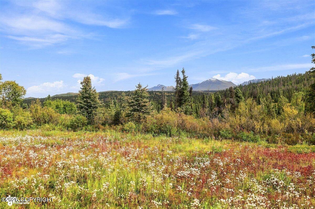 Nhn Stephan Lake Property Photo 81