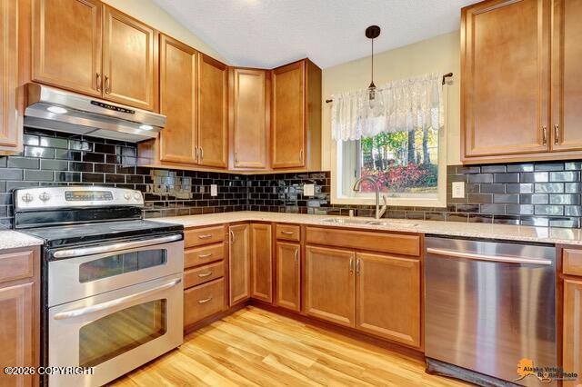2431 Chandalar Drive Property Photo 2