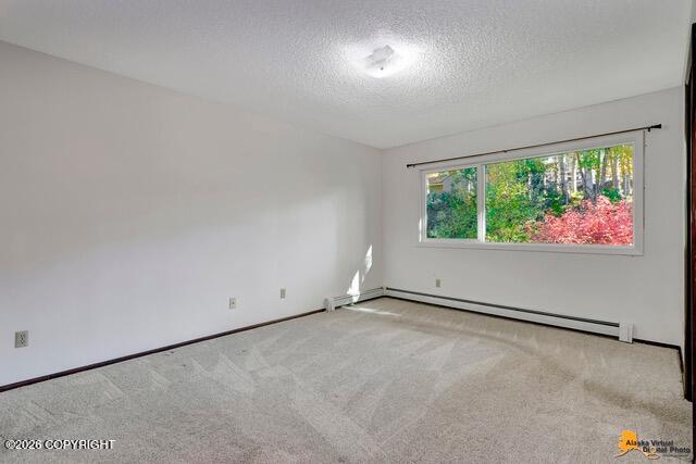 2431 Chandalar Drive Property Photo 14