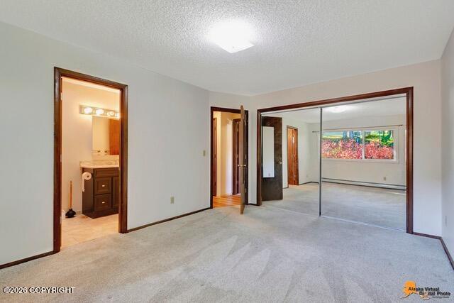 2431 Chandalar Drive Property Photo 15