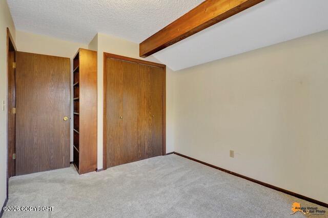 2431 Chandalar Drive Property Photo 19
