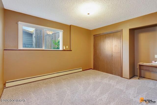 2431 Chandalar Drive Property Photo 23