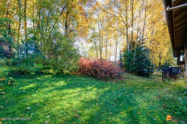 2431 Chandalar Drive Property Photo 35