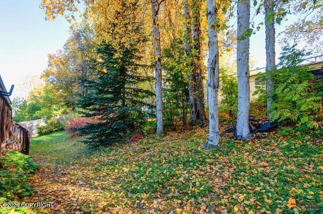 2431 Chandalar Drive Property Photo 36