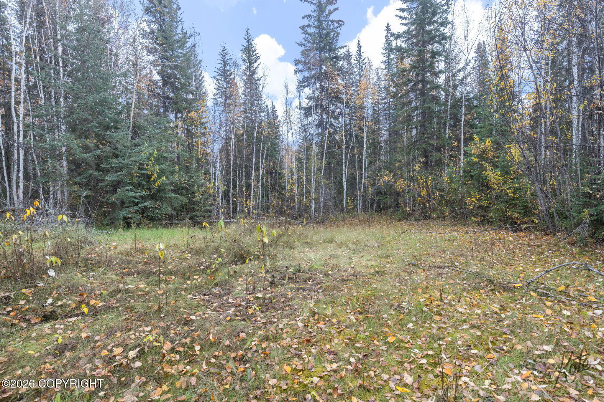1088 Eliz Street Property Photo 26