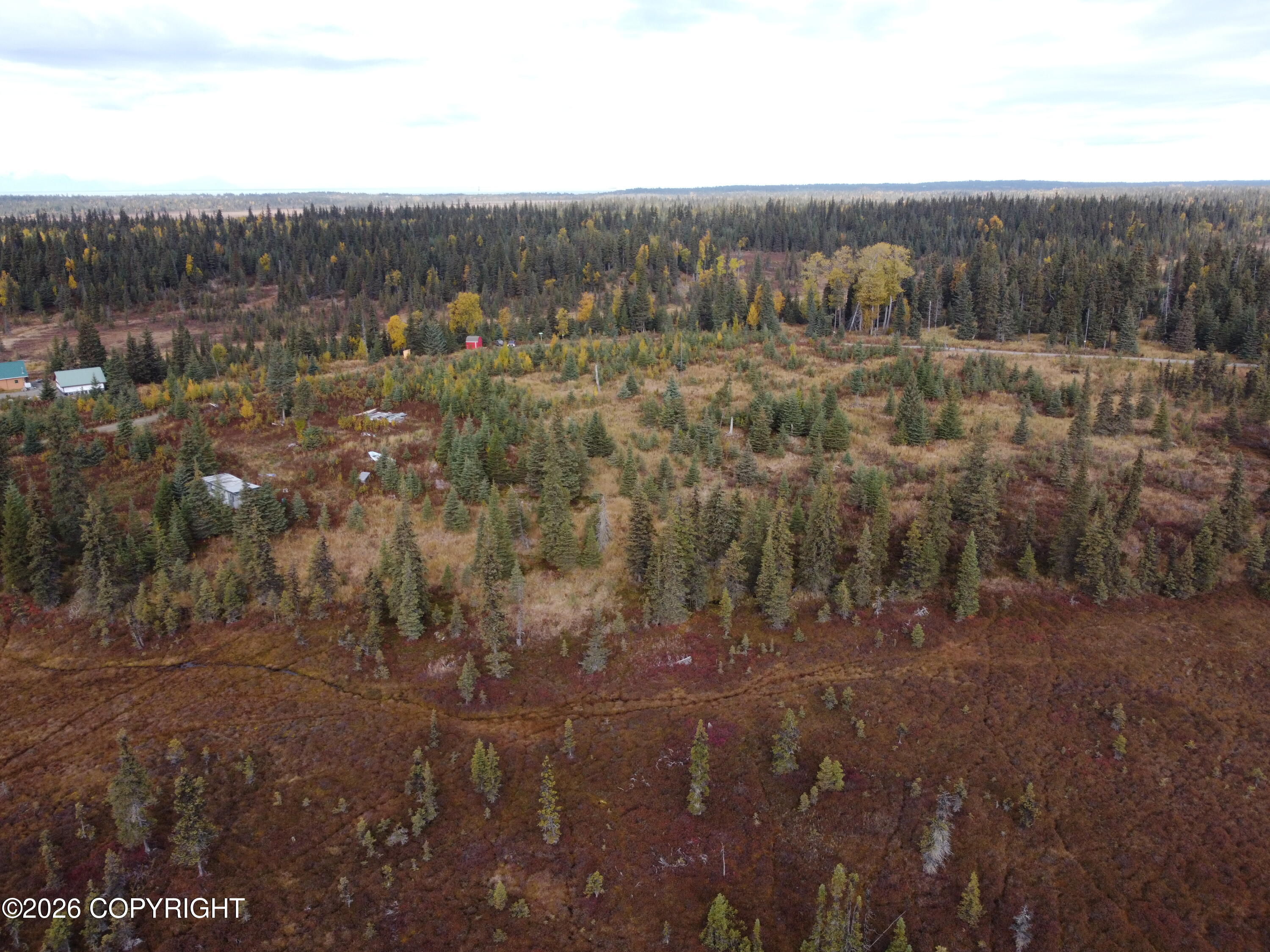 31350 Birch Haven Road Property Photo 4