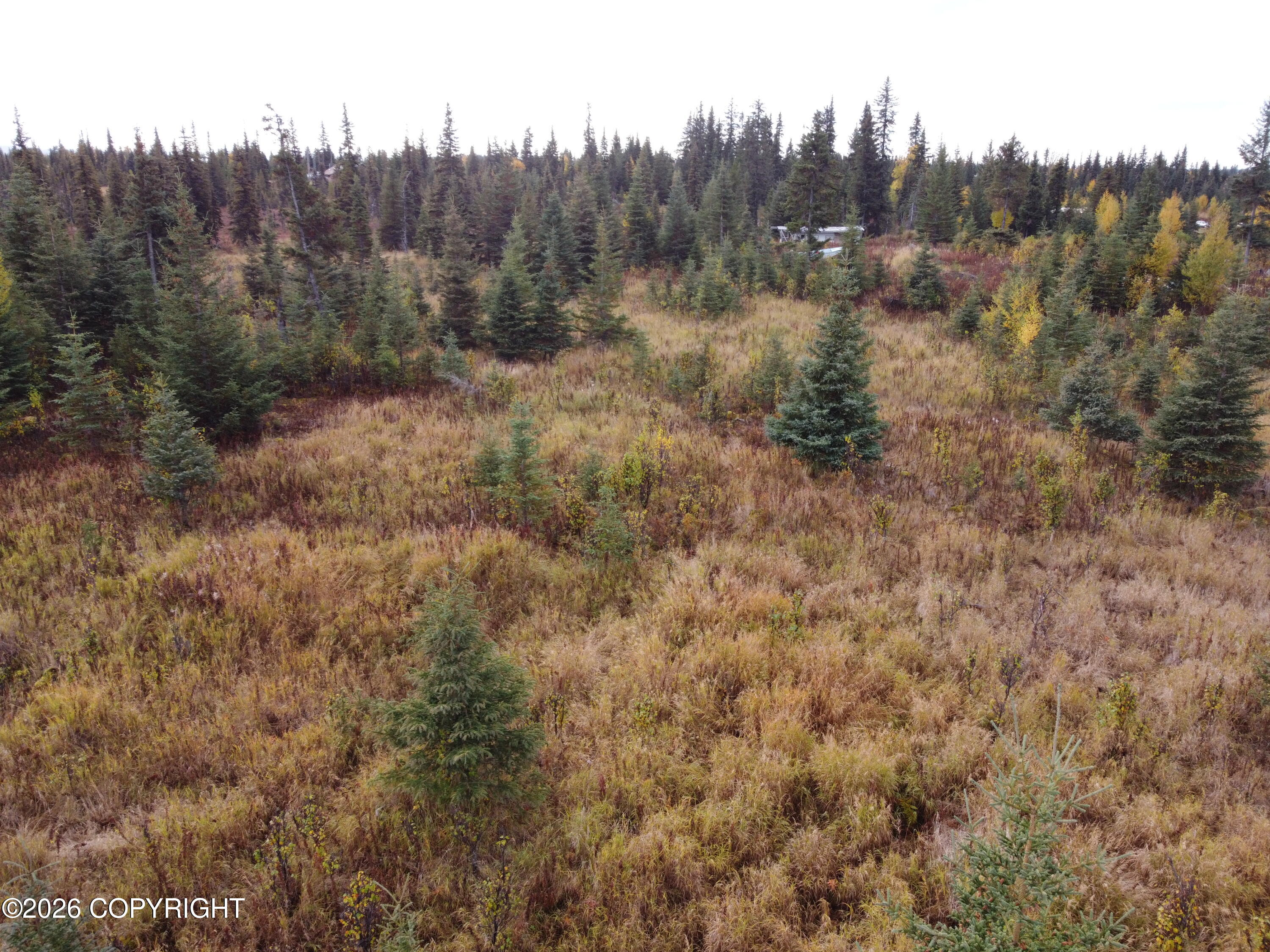 31350 Birch Haven Road Property Photo 6