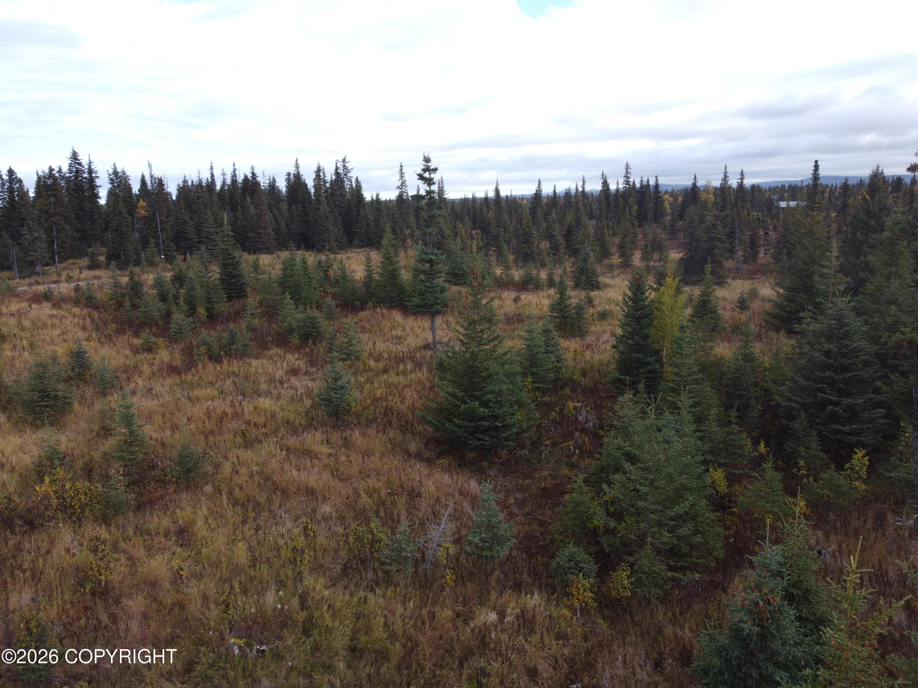 31350 Birch Haven Road Property Photo 7