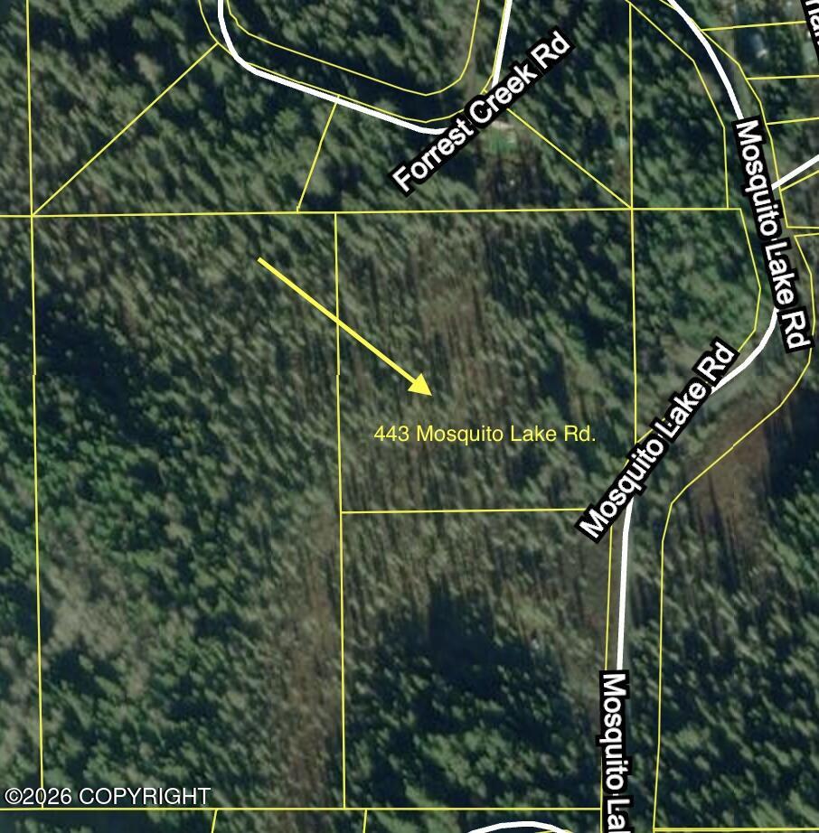 443 Mosquito Lake Road Property Photo 22