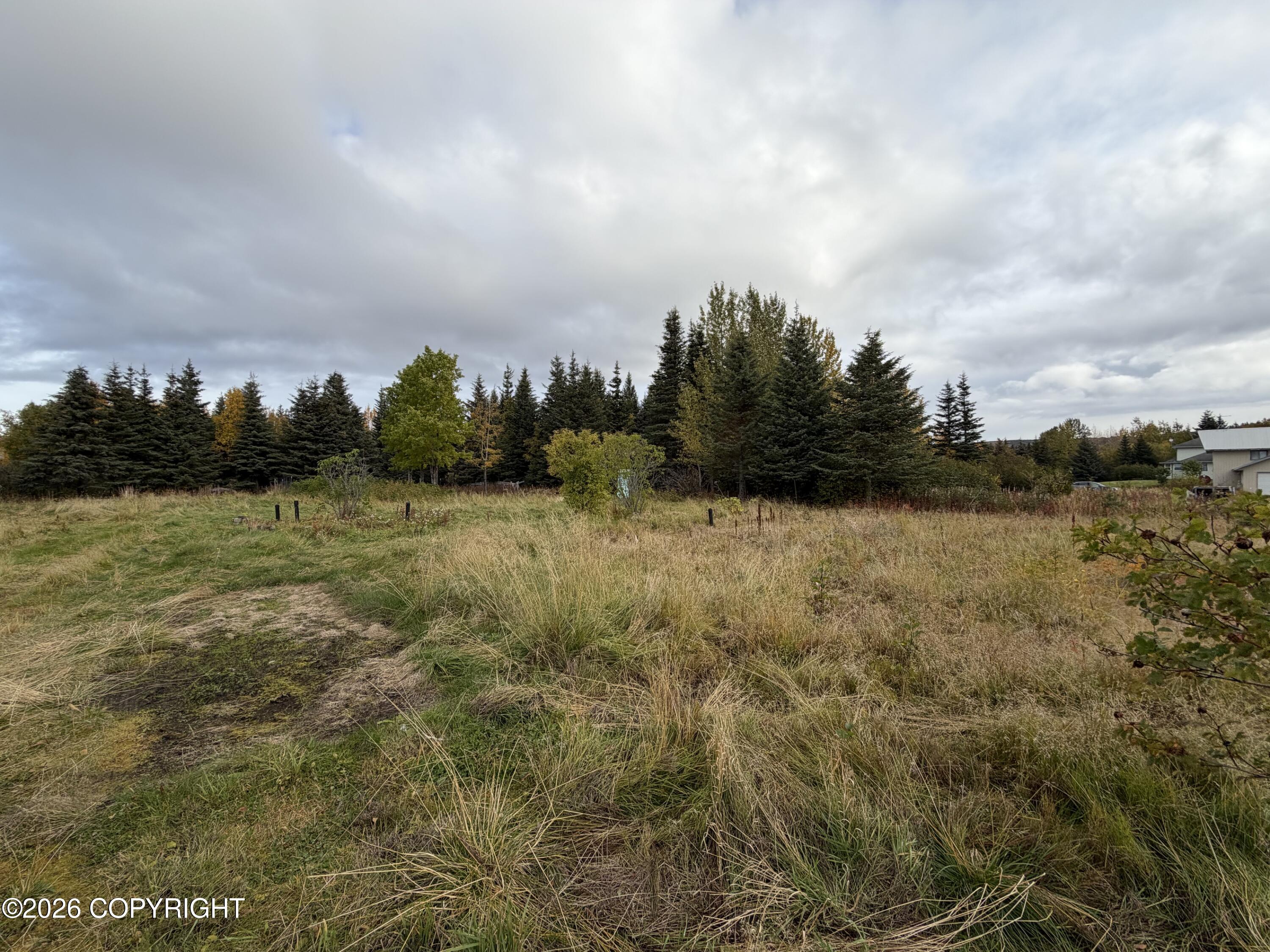 65400 Nikolaevsk Road Property Photo 5
