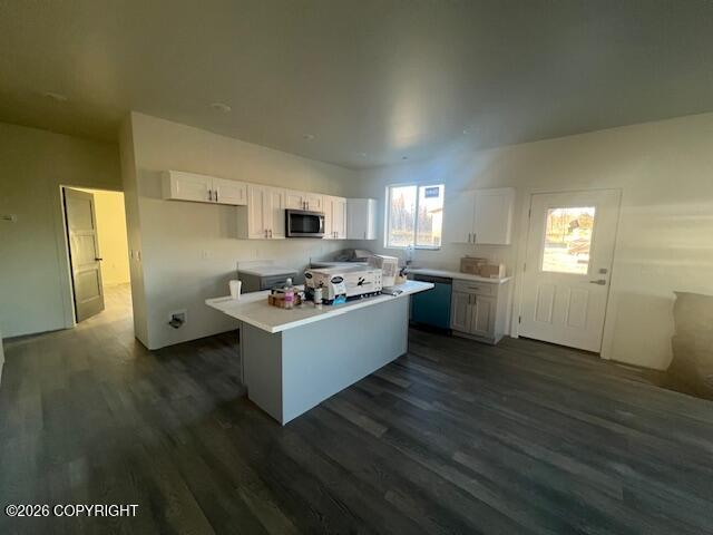 2061 W Lake Lucille Drive #2 Property Photo 3