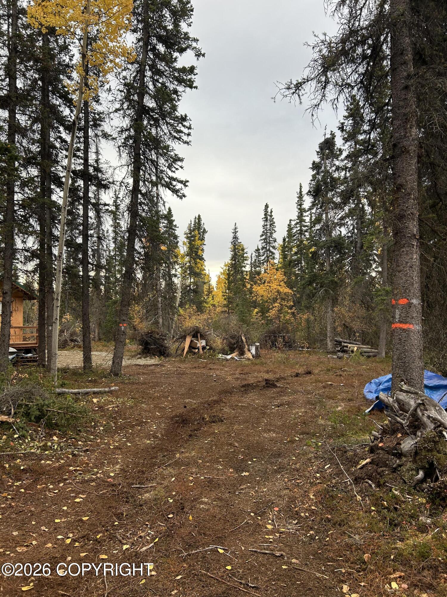 000 Mi 81 Richardson Highway Property Photo 3