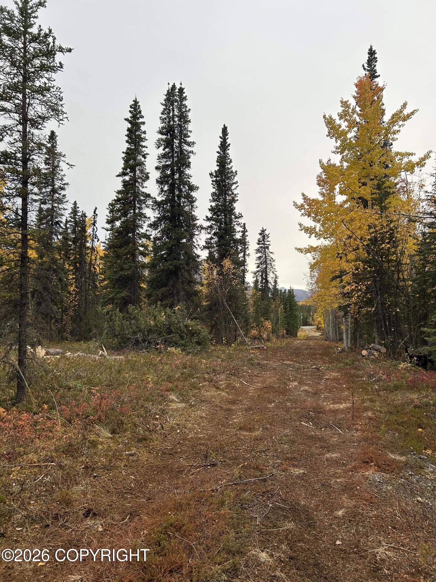 000 Mi 81 Richardson Highway Property Photo 5