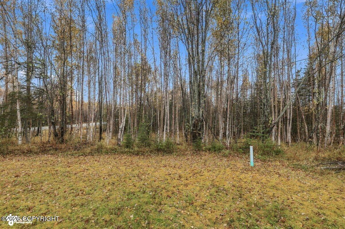10410 W Pinckney Drive Property Photo 39