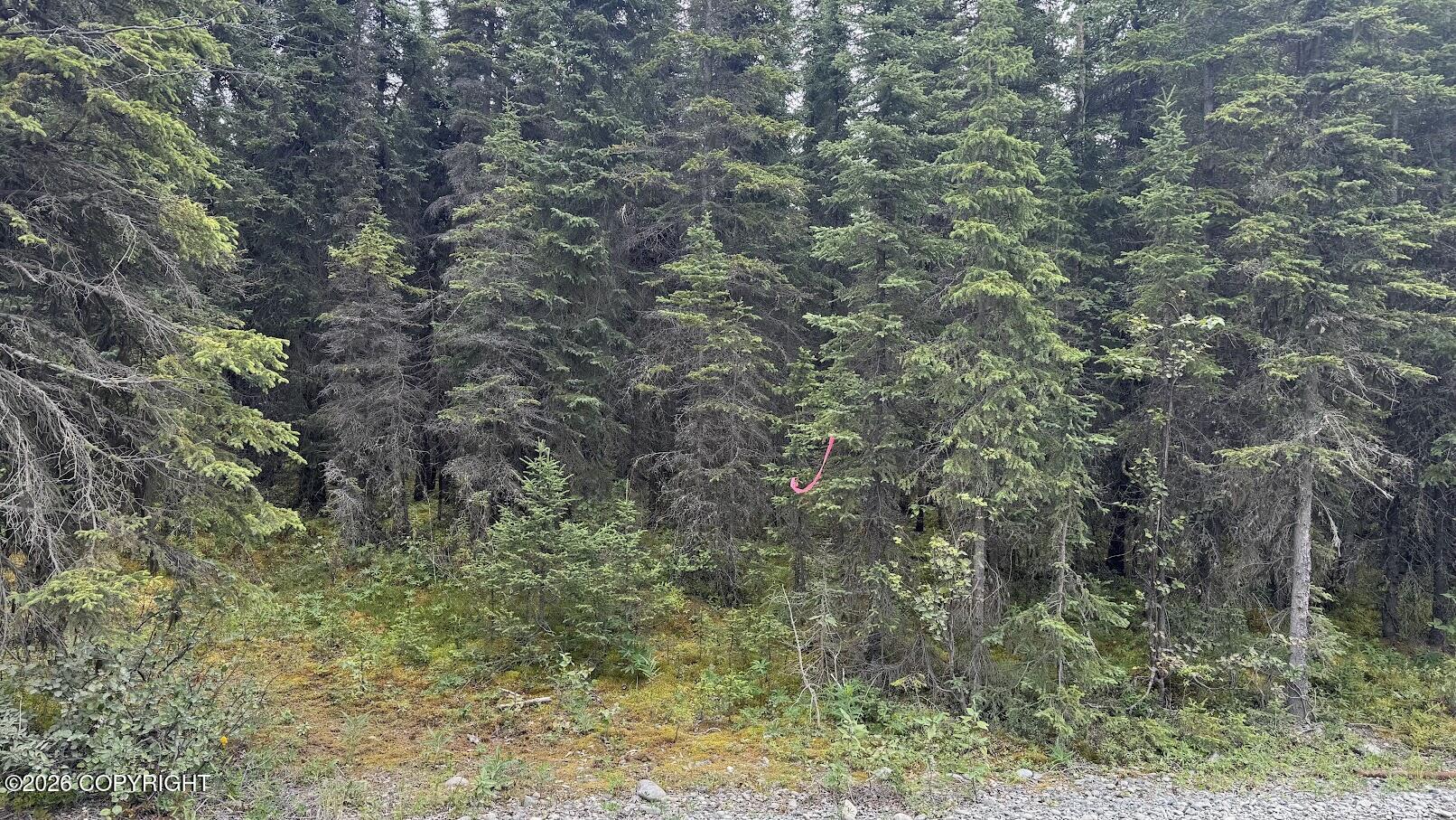 Tr C-1 Midway Drive Property Photo 5