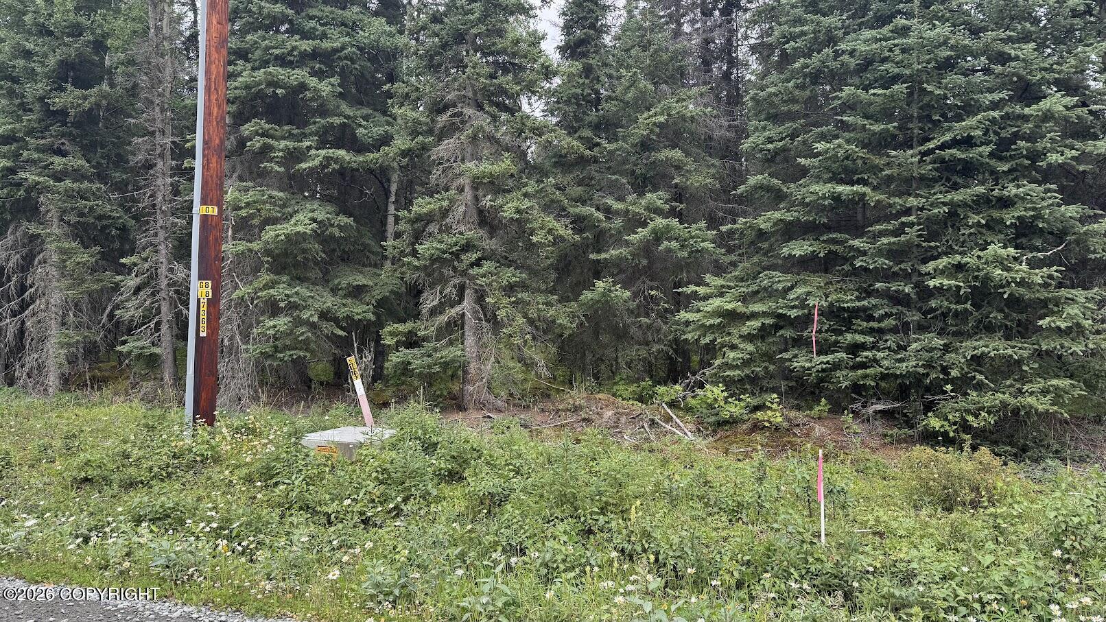 Tr C-1 Midway Drive Property Photo 6