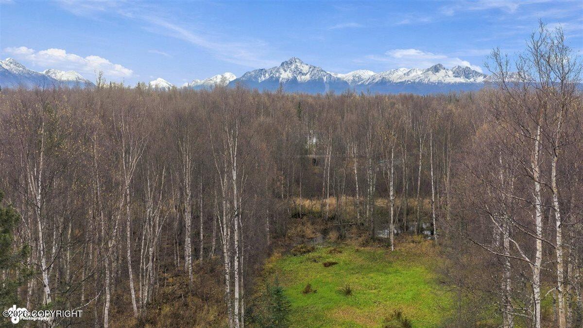 5151 N Wasilla-fishhook Road Property Photo 3