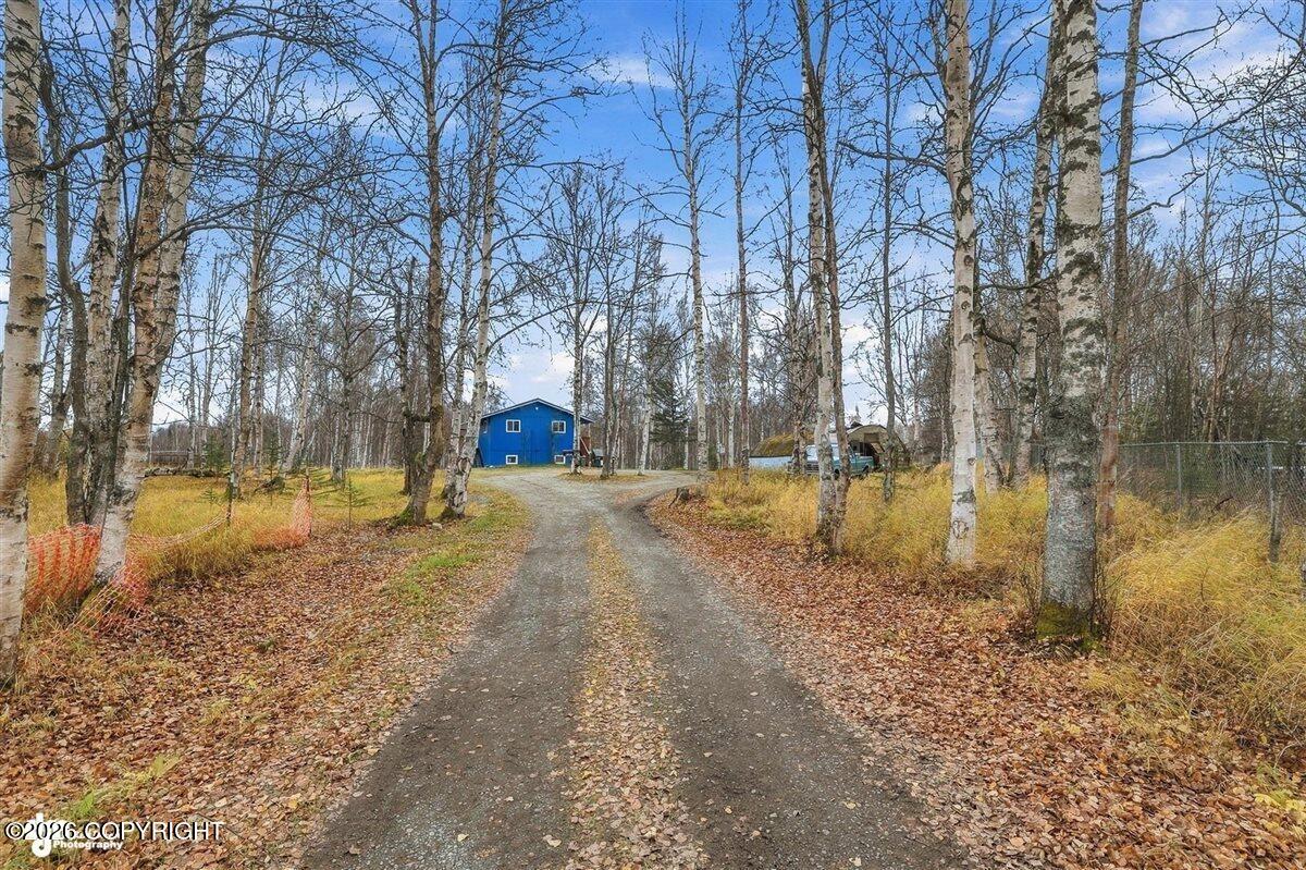5151 N Wasilla-fishhook Road Property Photo 5