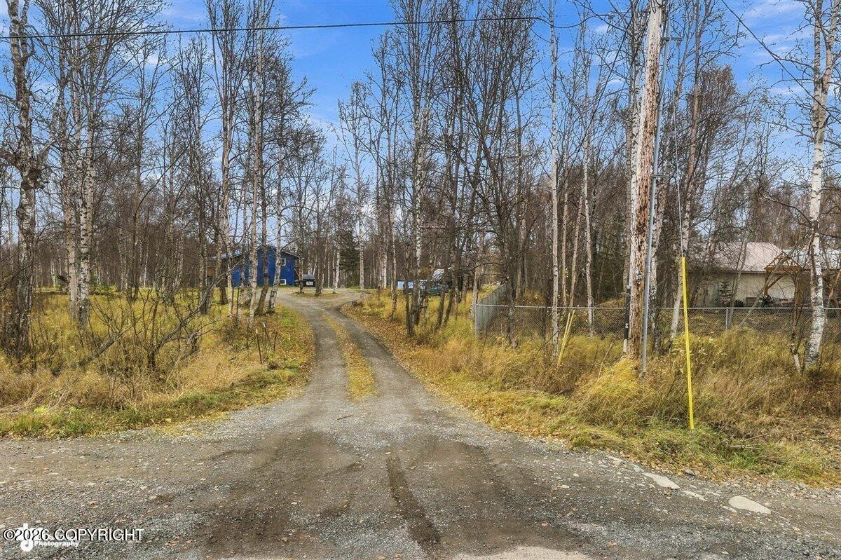 5151 N Wasilla-fishhook Road Property Photo 6