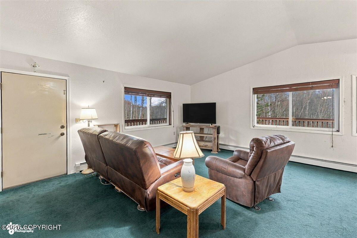 5151 N Wasilla-fishhook Road Property Photo 17