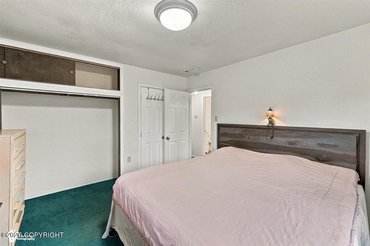 5151 N Wasilla-fishhook Road Property Photo 28