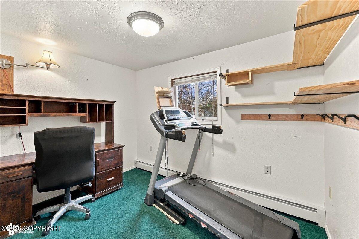 5151 N Wasilla-fishhook Road Property Photo 30