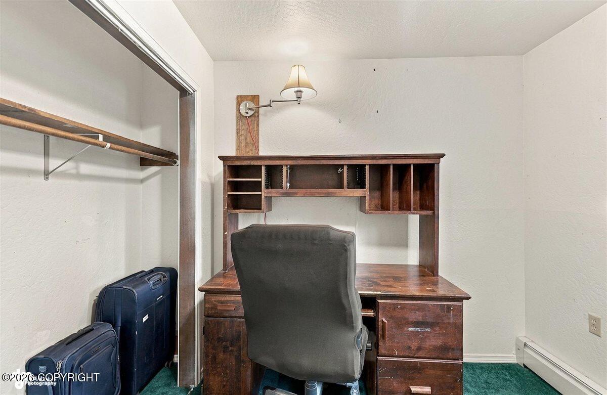 5151 N Wasilla-fishhook Road Property Photo 31