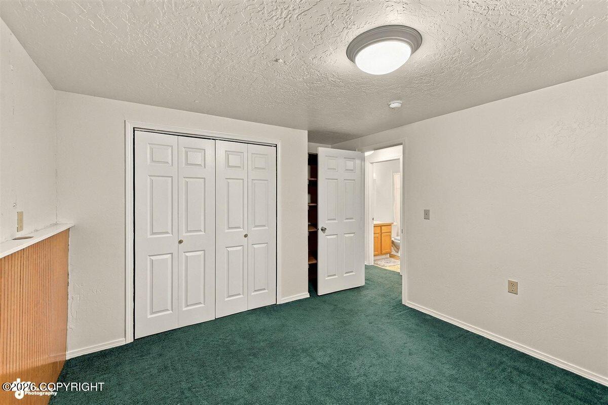 5151 N Wasilla-fishhook Road Property Photo 39