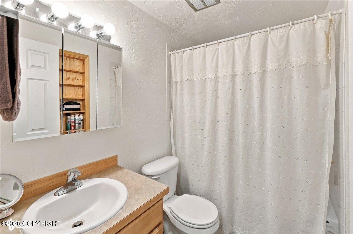 5151 N Wasilla-fishhook Road Property Photo 42