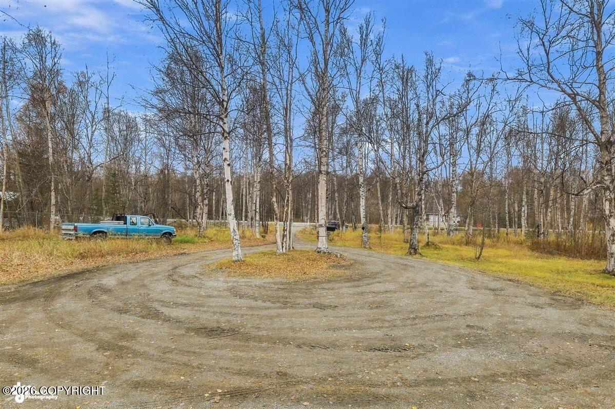 5151 N Wasilla-fishhook Road Property Photo 55