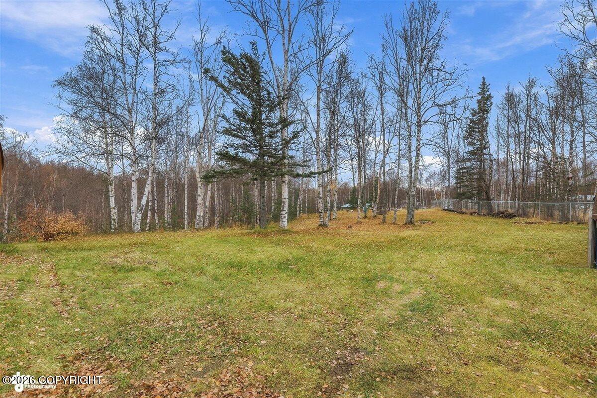 5151 N Wasilla-fishhook Road Property Photo 57