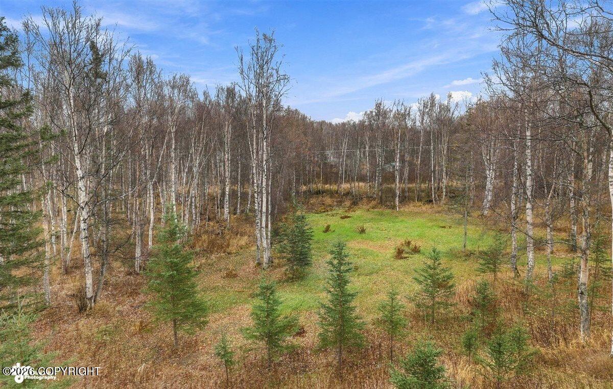 5151 N Wasilla-fishhook Road Property Photo 58