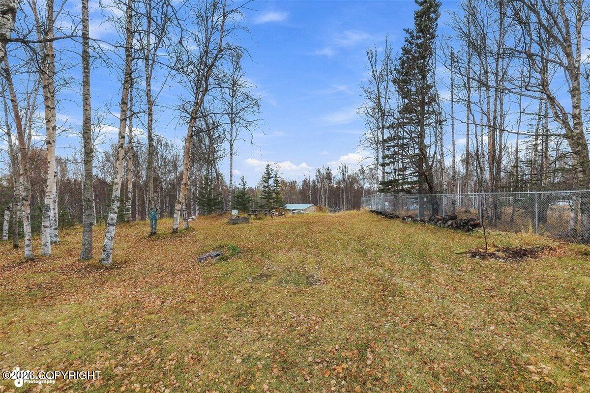 5151 N Wasilla-fishhook Road Property Photo 59