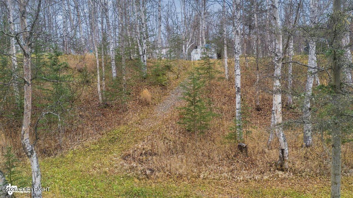 5151 N Wasilla-fishhook Road Property Photo 60