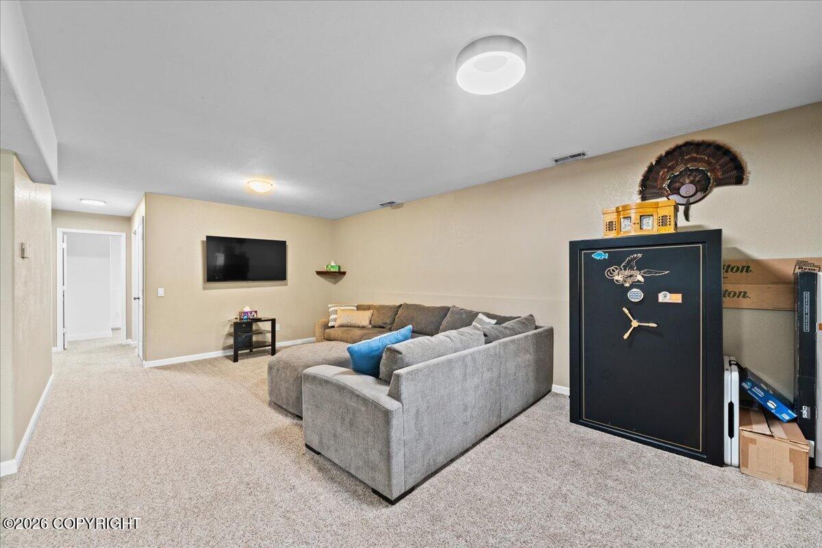 1031 E Susitna Bay Property Photo 74
