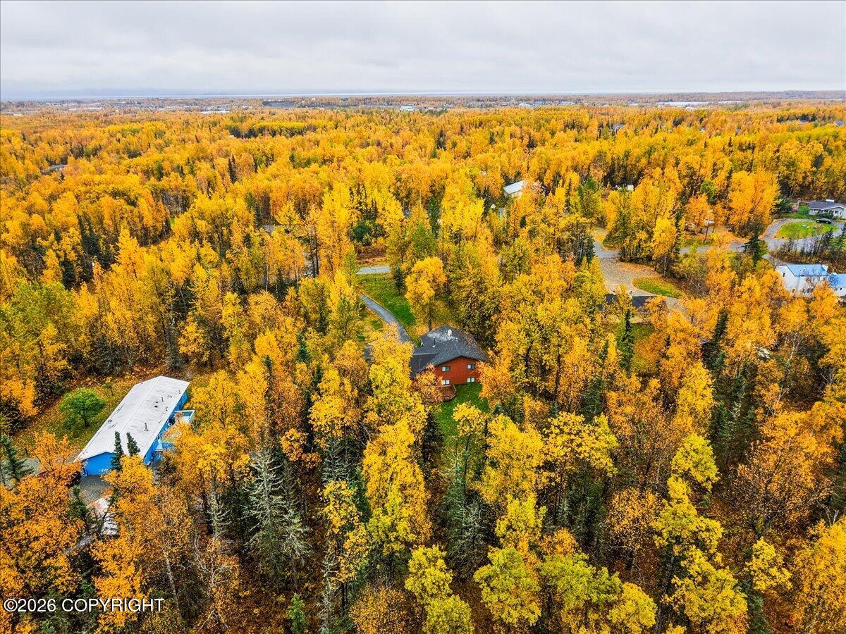 1031 E Susitna Bay Property Photo 111