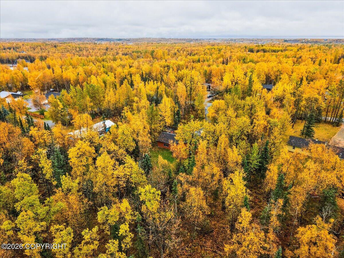 1031 E Susitna Bay Property Photo 116
