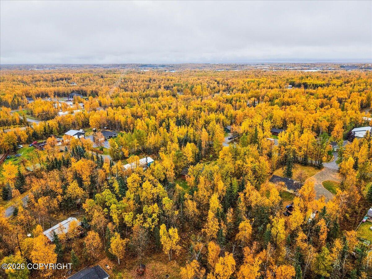 1031 E Susitna Bay Property Photo 117