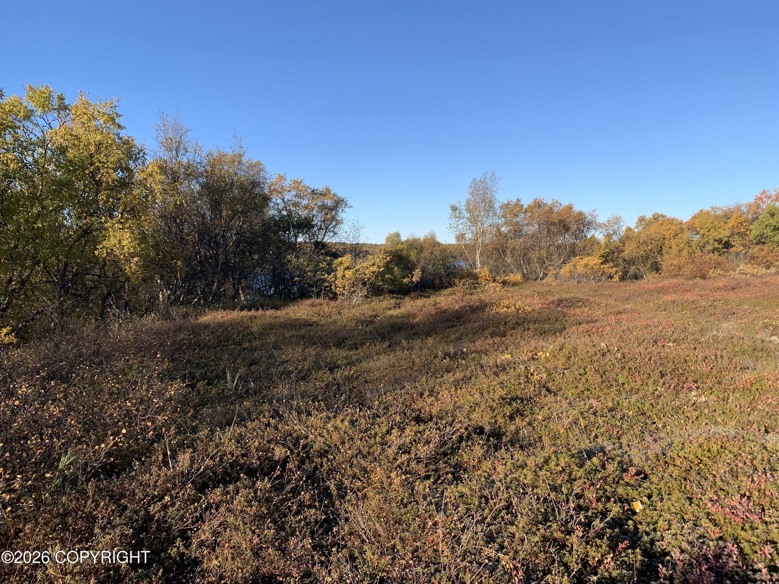 L11 B11 Caribou Circle Property Photo 4