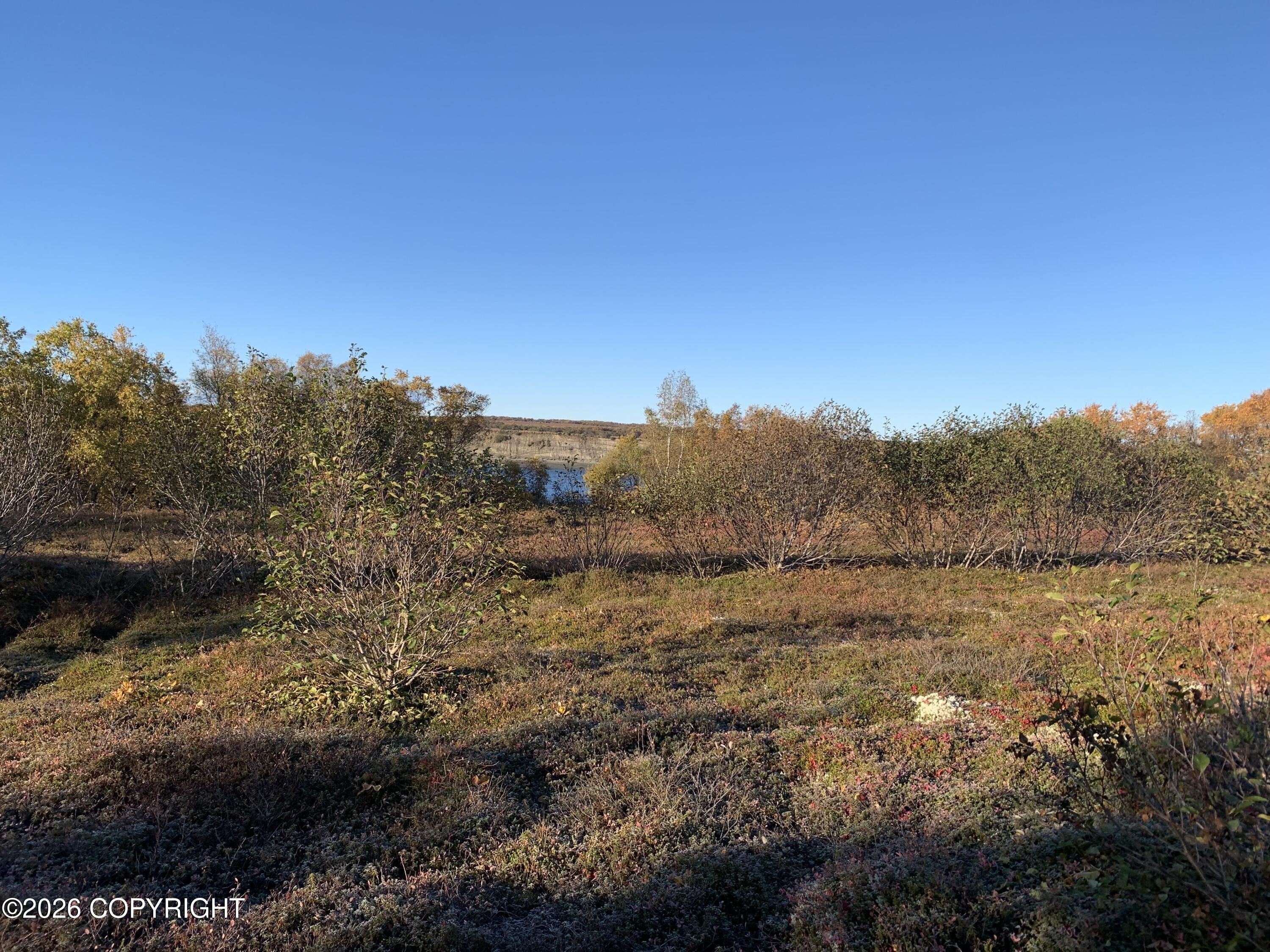 L11 B11 Caribou Circle Property Photo 6