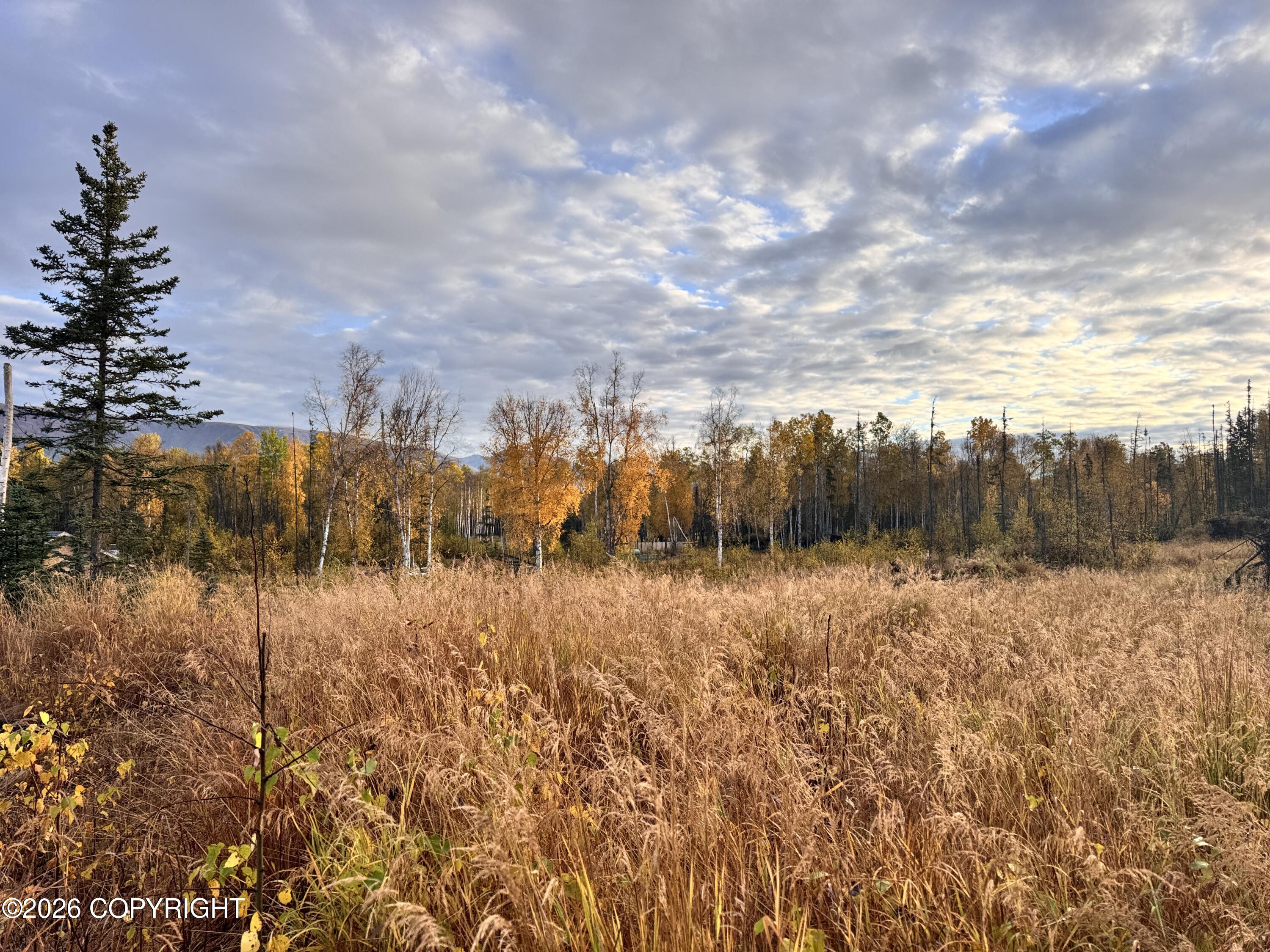 000 W Trumpeter Swan Drive Property Photo 4