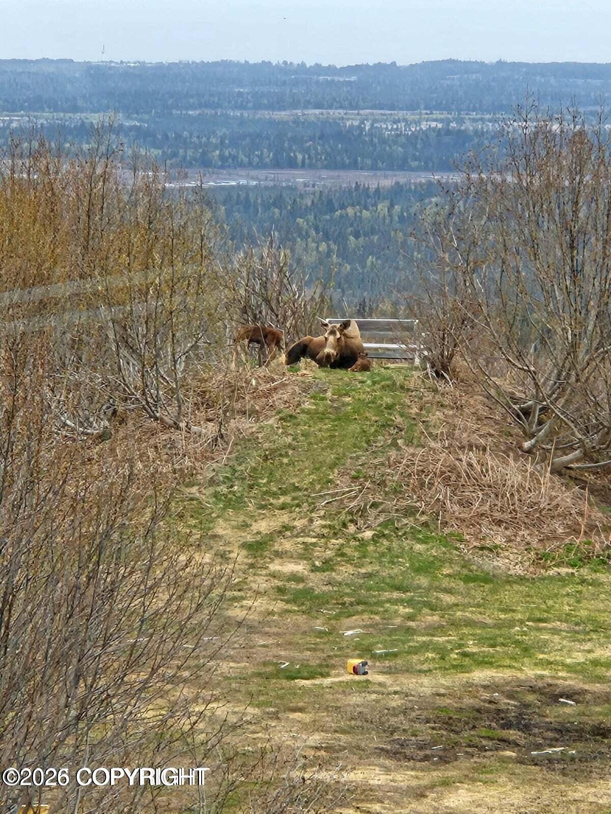 65265 Knob Hill Road Property Photo 52