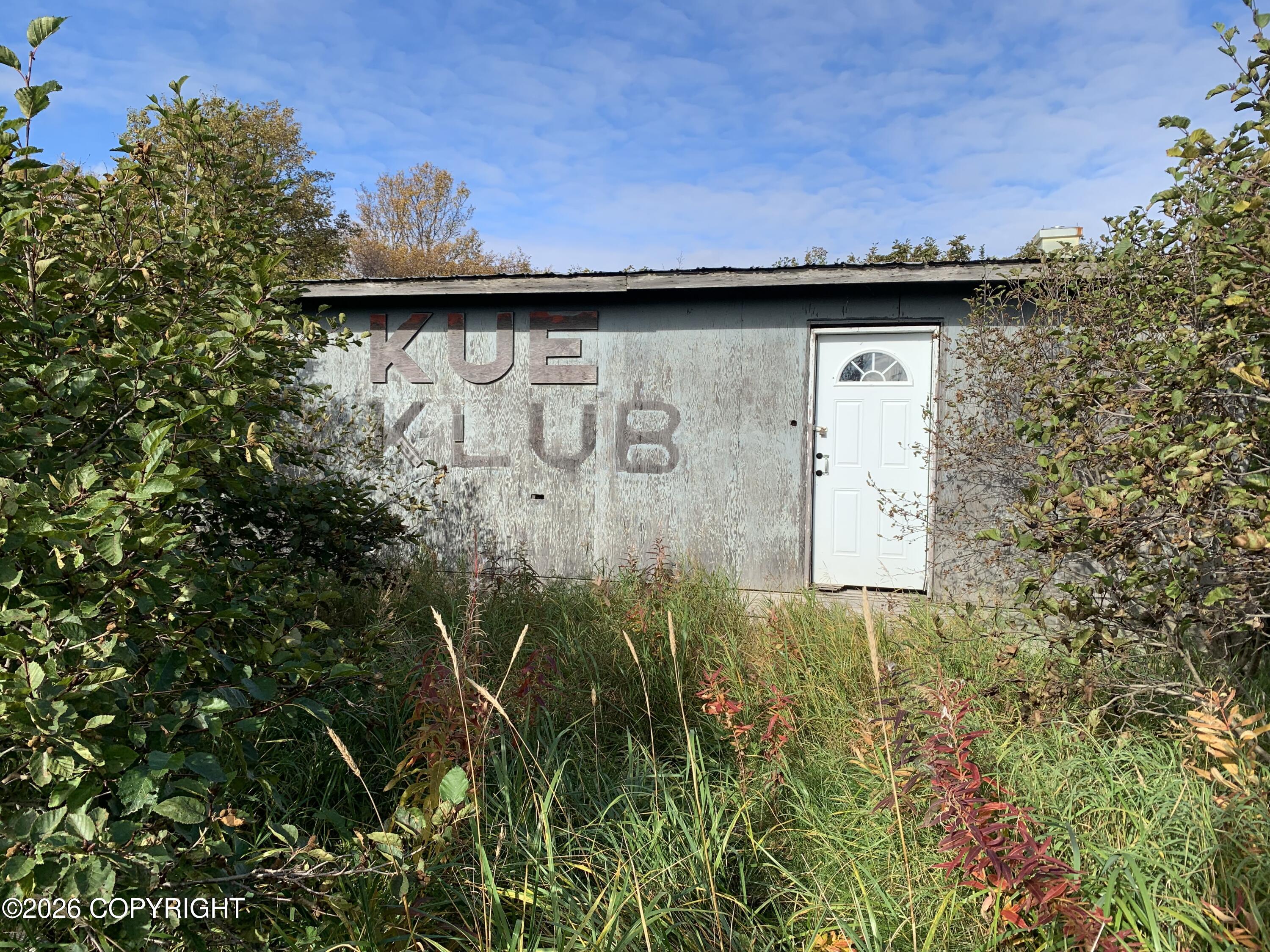 L1 Alaska Peninsula Highway Property Photo 2