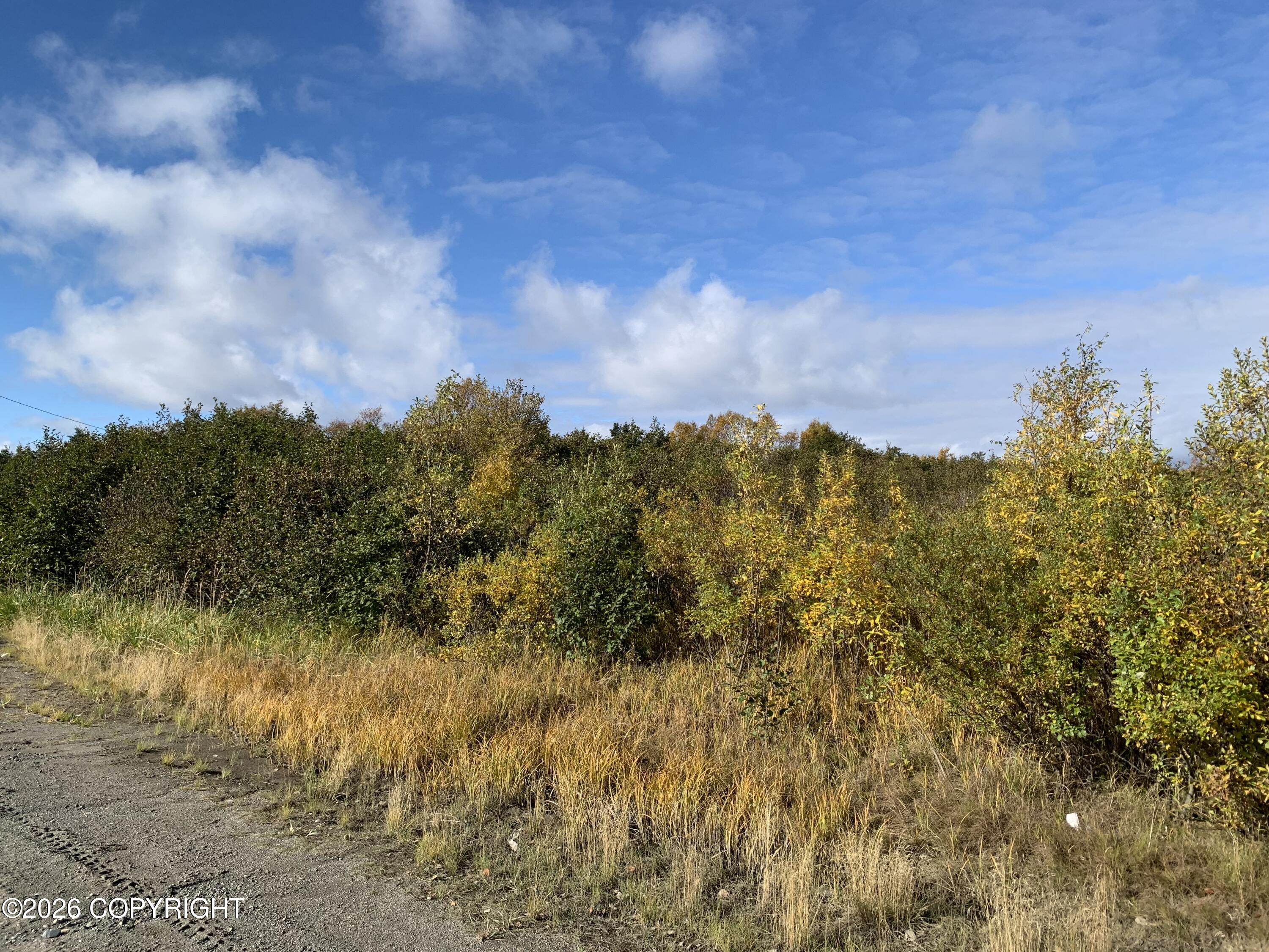 L1 Alaska Peninsula Highway Property Photo 3