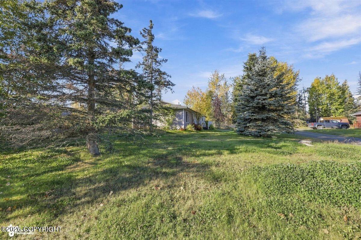 387 Lupine Street Property Photo 25
