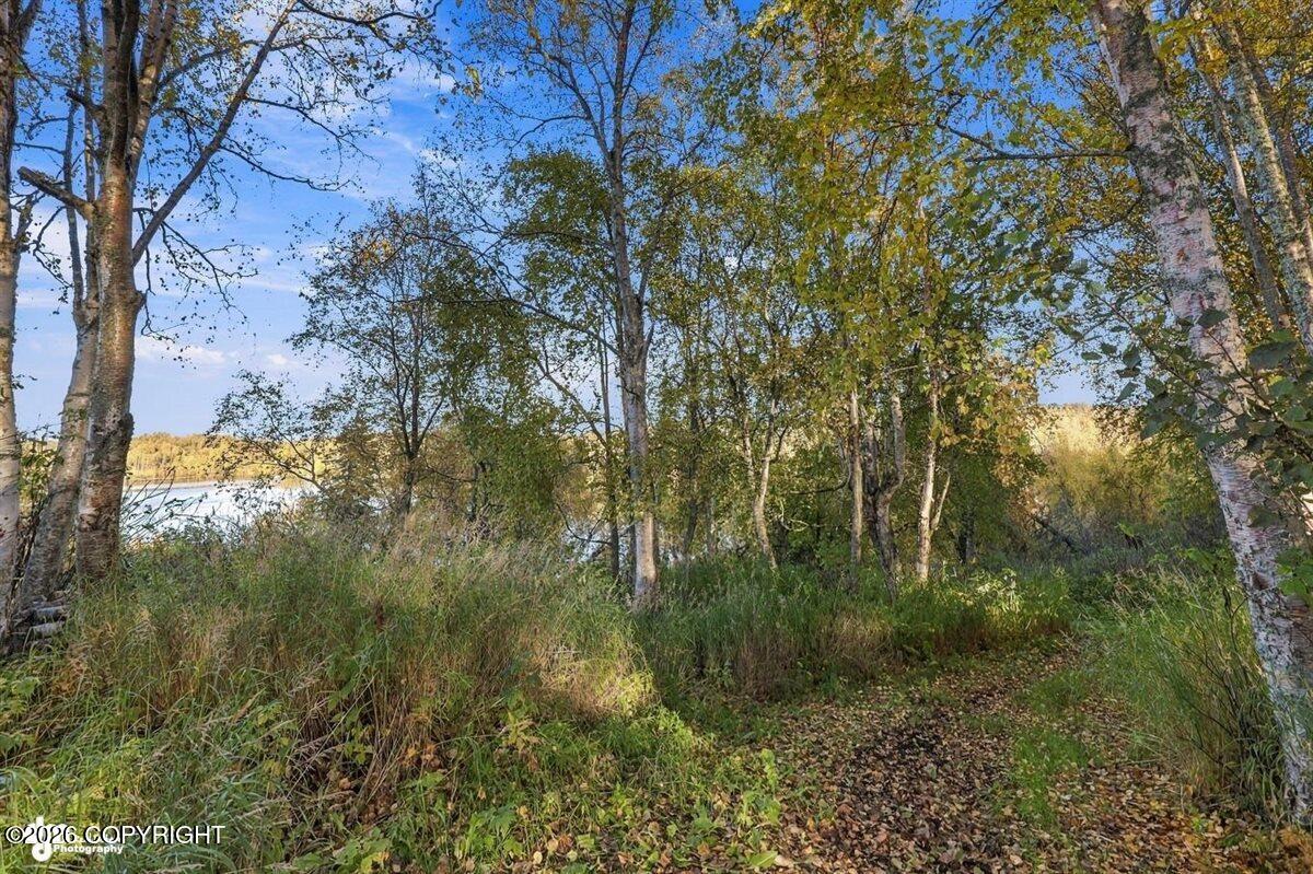 48474 Eileen Street Property Photo 51