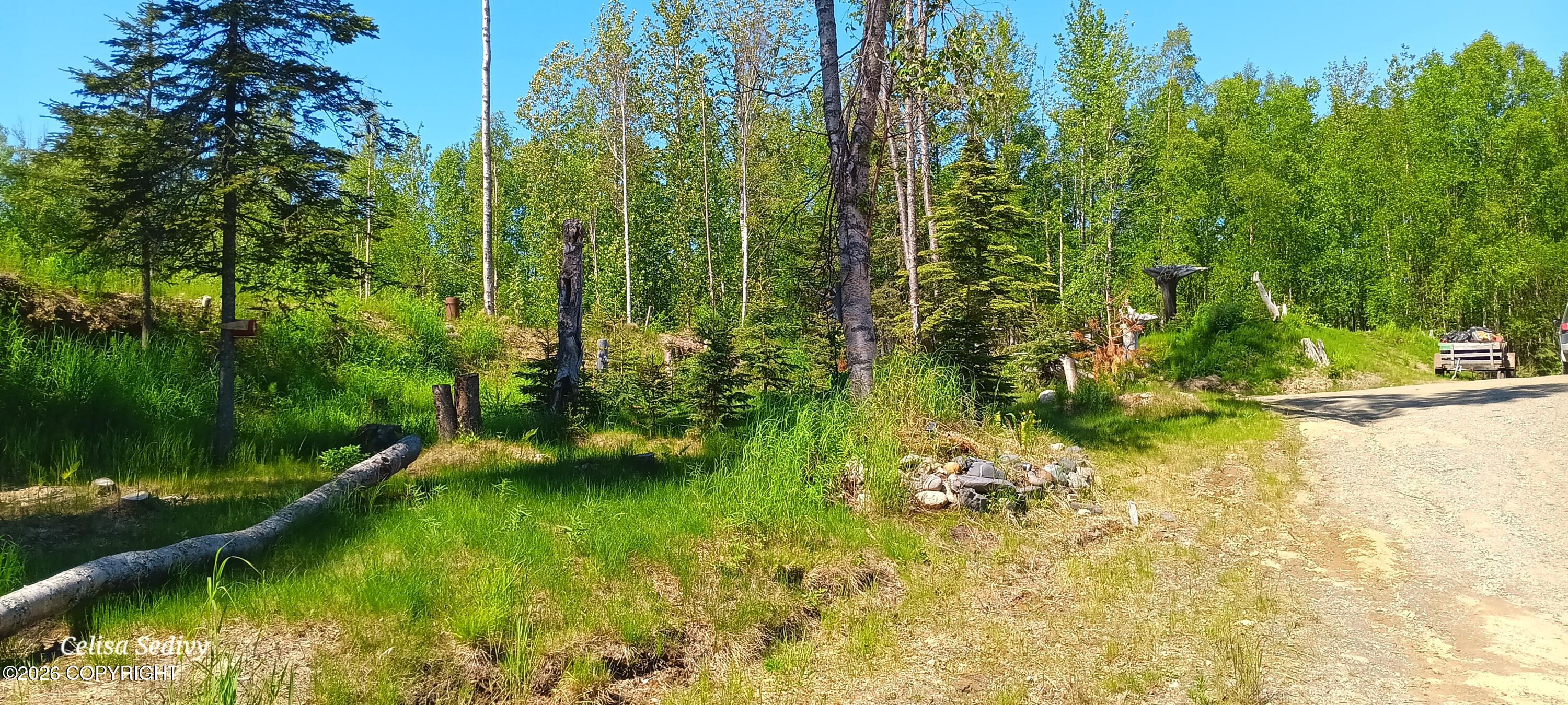 49707 Toloff Road Property Photo 3