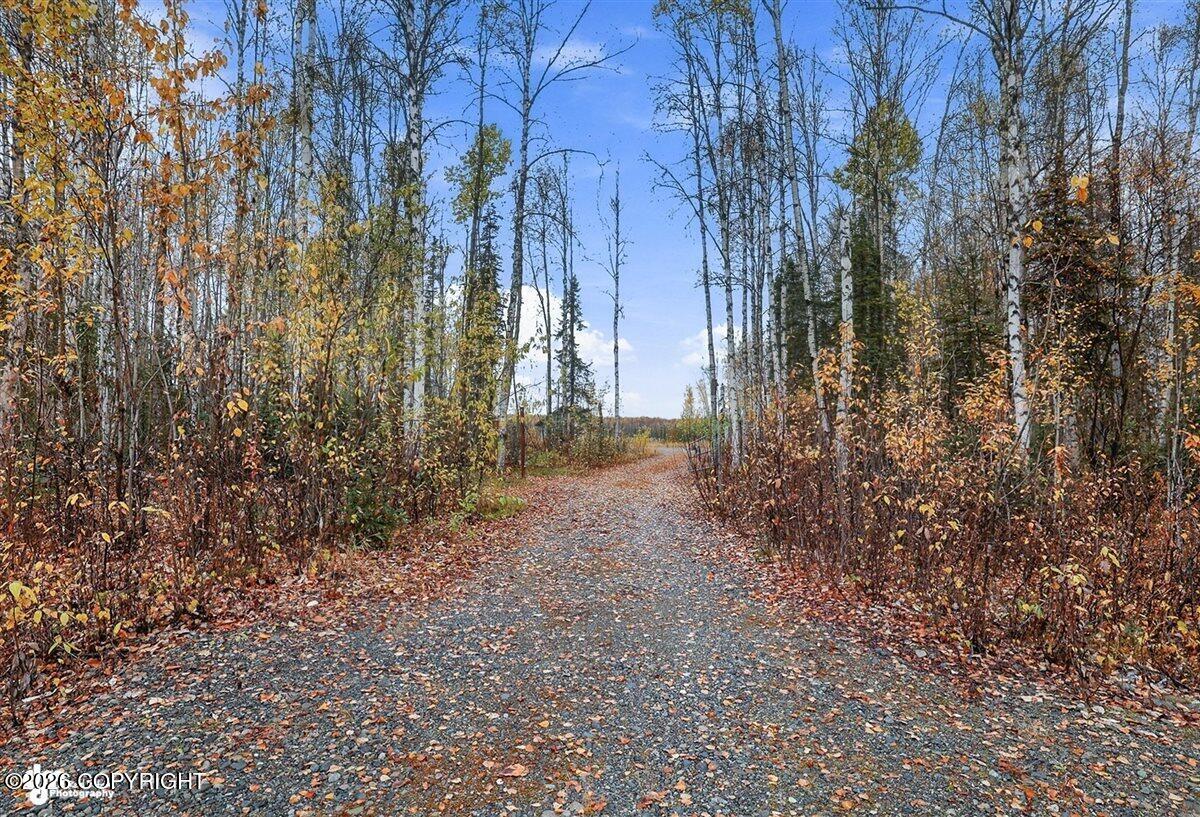 48324 S Brown Bear Road Property Photo 14